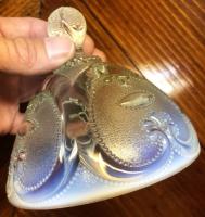 Glass Thumb