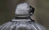 Glass Thumb