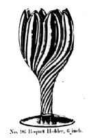 Glass Thumb