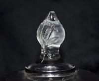 Glass Thumb