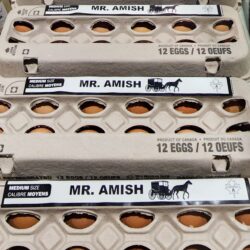 Medium Brown Eggs Dozen