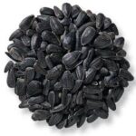 Black Oil Sunflower 50lb Bulk Bag / EMAIL FOR PRICING