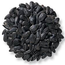Black Oil Sunflower 50lb Bulk Bag / EMAIL FOR PRICING