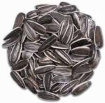 Striped Sunflower 50lb Bulk Bag / EMAIL FOR PRICING