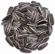 Striped Sunflower 50lb Bulk Bag / EMAIL FOR PRICING