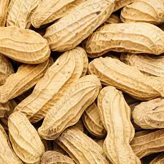 Peanuts In Shell 50lb Bulk Bag / EMAIL FOR PRICING