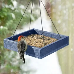 Platform Bird Feeder