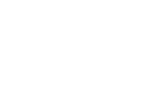 Mr Amish